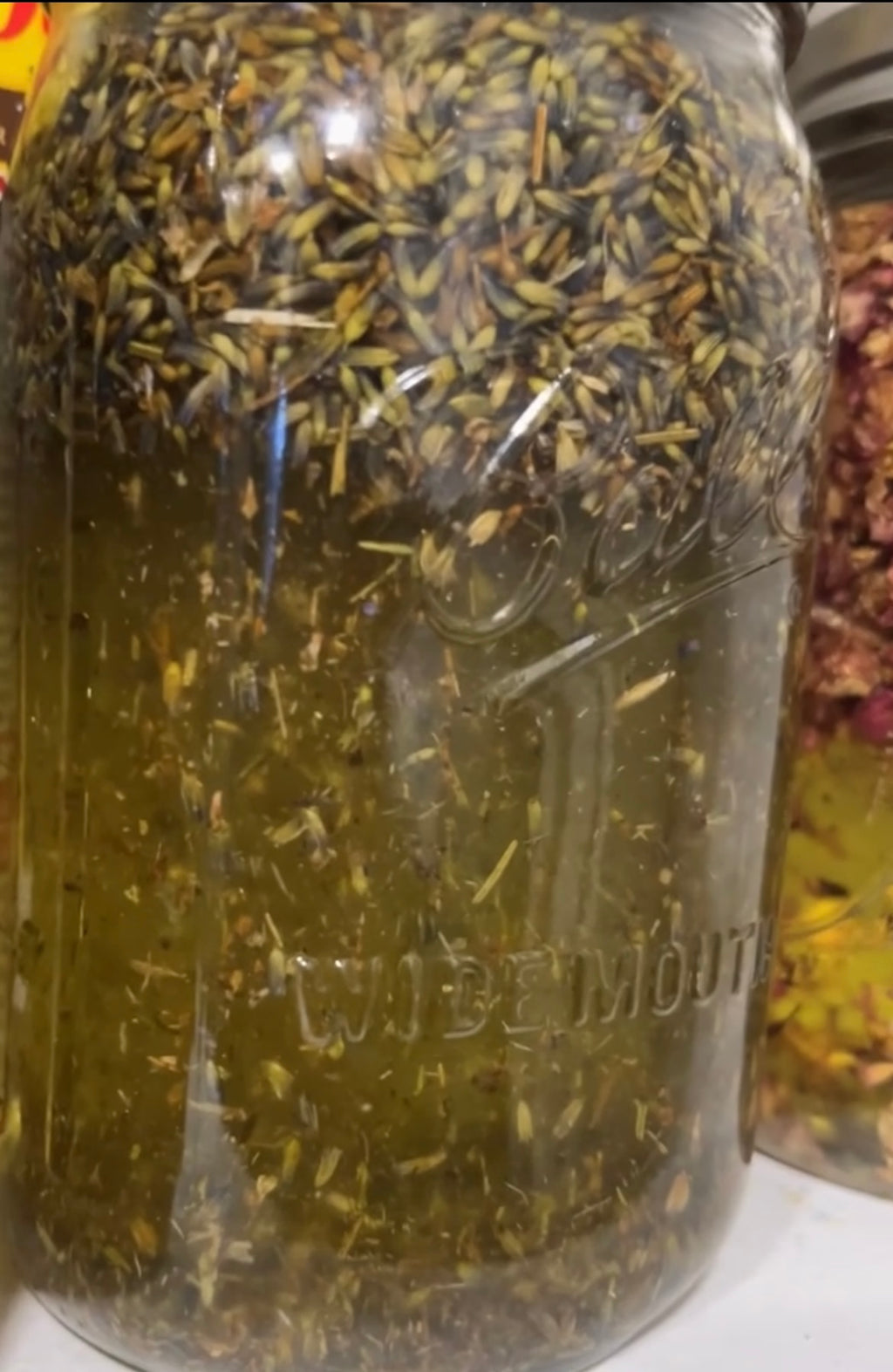 Herbal Infused Face & Body Oil