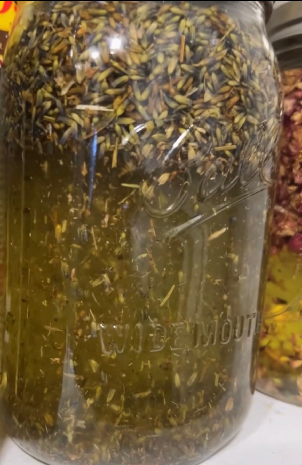 Herbal Infused Face & Body Oil